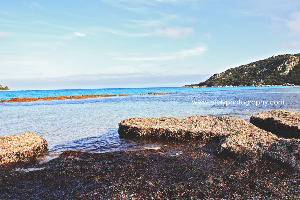 plage santa giulia corse sable blanc eau turquoise