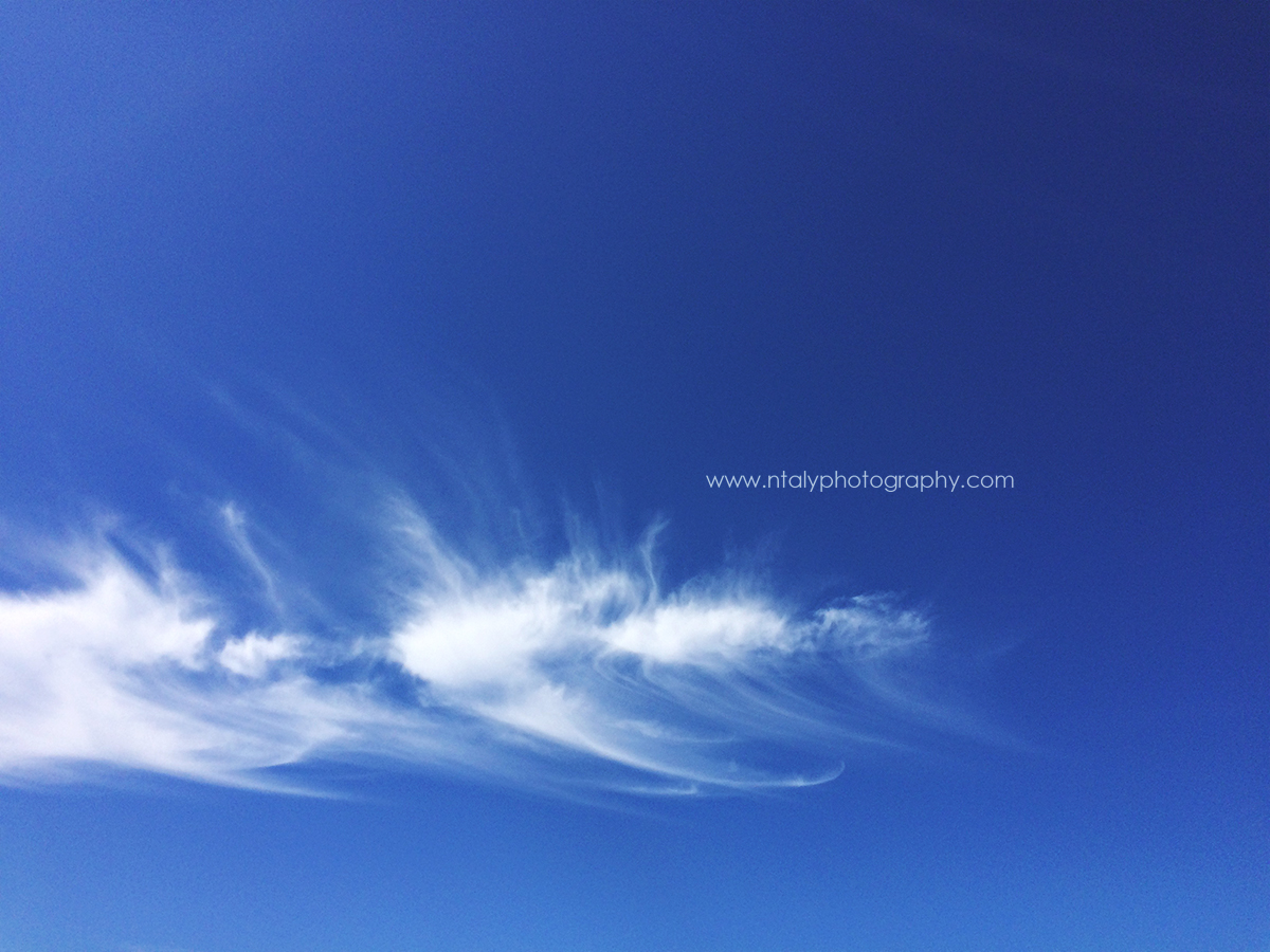 photographie ciel bleu petit nuage